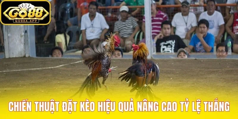 Chiến thuật đặt kèo hiệu quả nâng cao tỷ lệ thắng