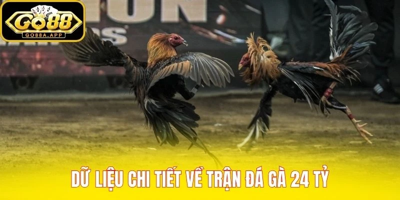Dữ liệu chi tiết về trận đá gà 24 tỷ