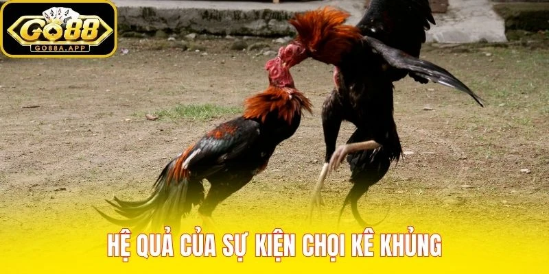 Hệ quả của sự kiện chọi kê khủng