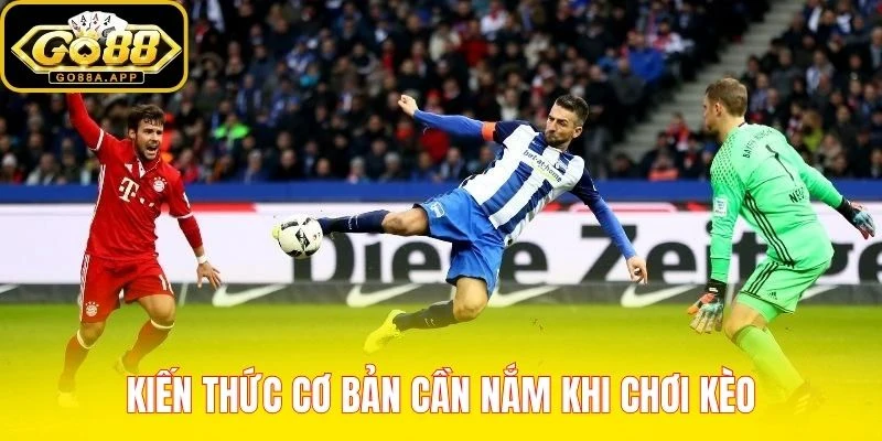 Kiến thức cơ bản cần nắm khi chơi kèo