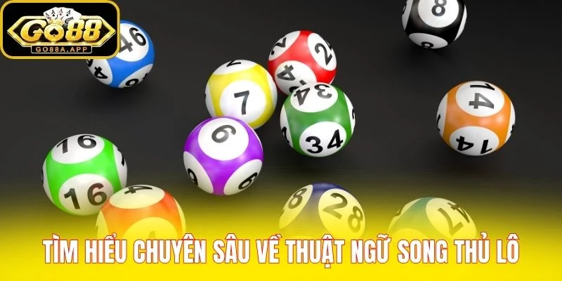 Tìm hiểu chuyên sâu về thuật ngữ song thủ lô